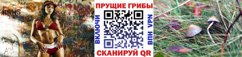 Псилоцибиновые грибы GOLDEN TEACHER  Куровское 